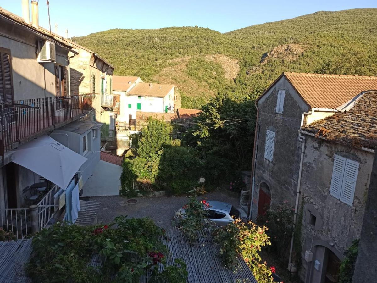 Chez Laurette Murato Apartment Exterior foto